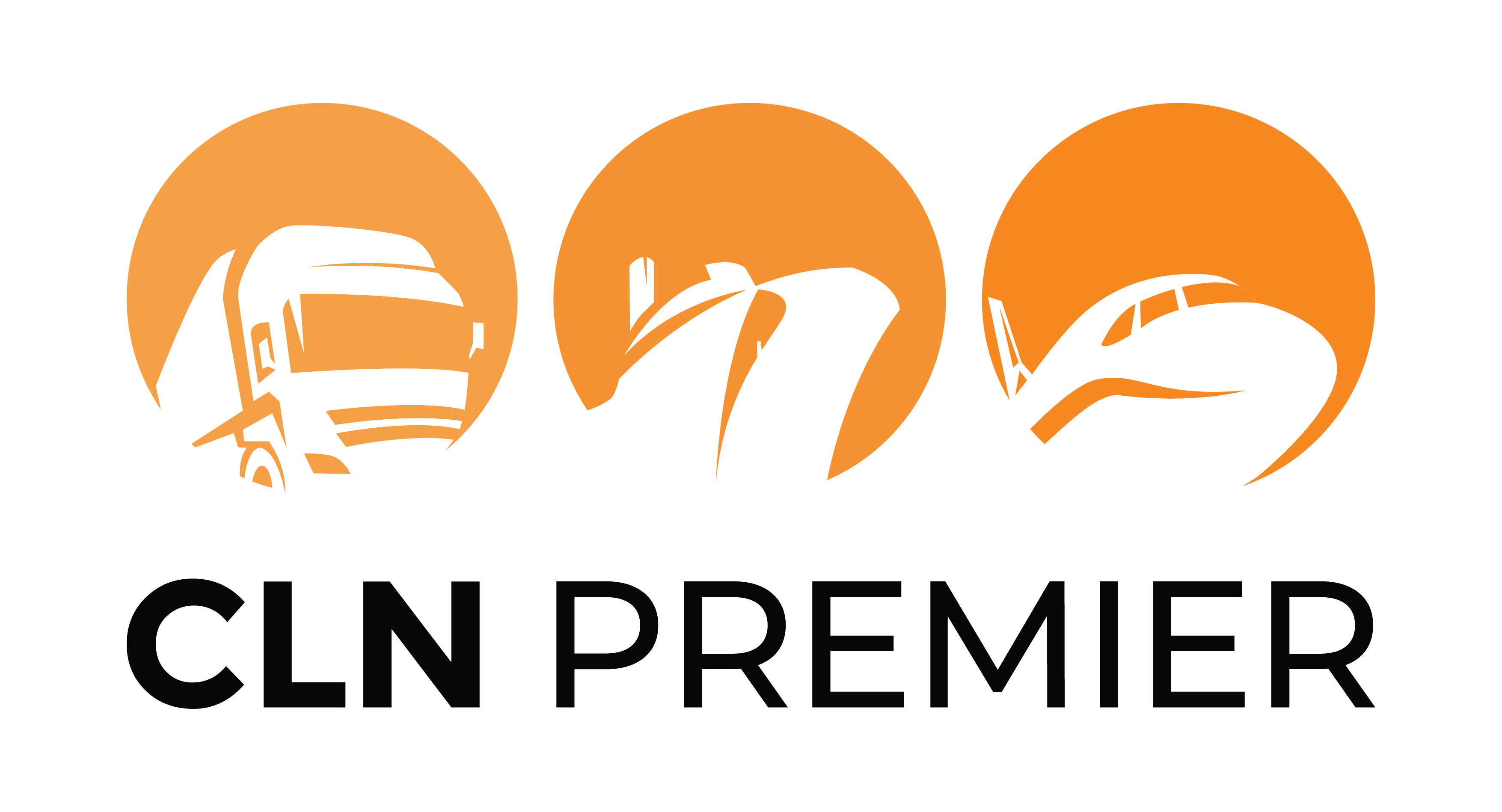 cln-logo